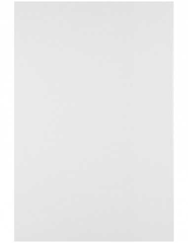 Splendorgel Smooth Paper 340g Extra White 71x100