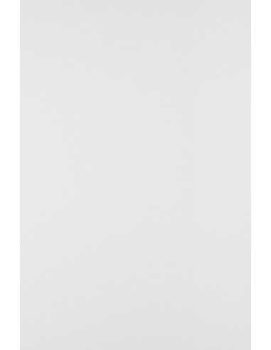 Poster Board Paper White 250g 100A3