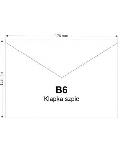 Aster Metallic Decorative Envelope B6 NK Grey120g
