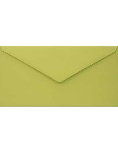 Woodstock Envelope DL Gummed Pistacchio Green 140g