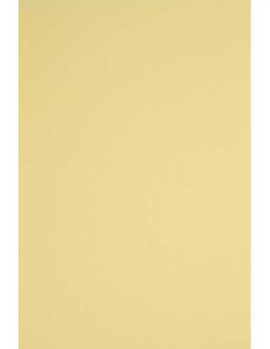Rainbow Paper 230g R12 Light Yellow Pack of 20 A4