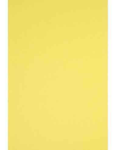Rainbow Paper 230g R16 Yellow Pack of 20 A4