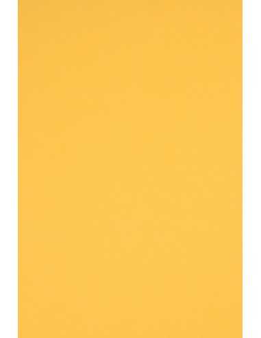 Rainbow Paper 230g R18 Dark Yellow Pack of 20 A4