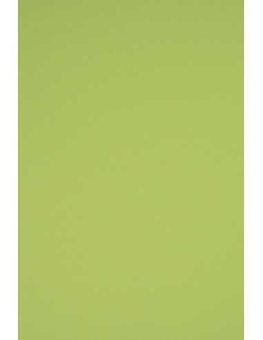 Rainbow Paper 230g R74 Light Green Pack of 20 A4