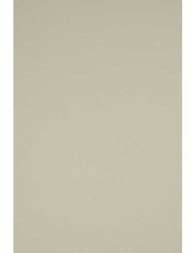 Rainbow Smooth Paper 230g R96 Grey Pack of 20 A4