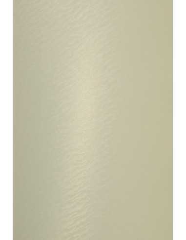 Aster Metallic Paper 250g Gold Ivory Sea Shell Pack of 10 A4