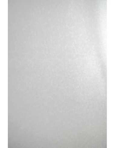 Aster Metallic Paper 250g White Sequins Pack of 10 A4