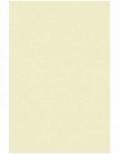 Olin decorative plain smooth paper 120gsm Regular Soft Cream ecru 50A4 pcs