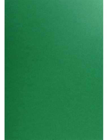 Popset Virgin Paper 240g Cactus Green Pack of 10 A4