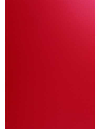 Curious Leather Paper 270g Red Pack of 10 A4