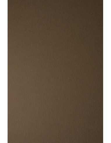Keaykolour Paper 300g Smooth Brown Pack of 10 A4