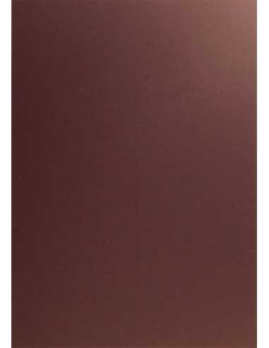 Plike Paper 330g Brown Pack of 10 A4