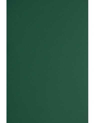 Plike Decorative Paper 330g Green pack of 10A4