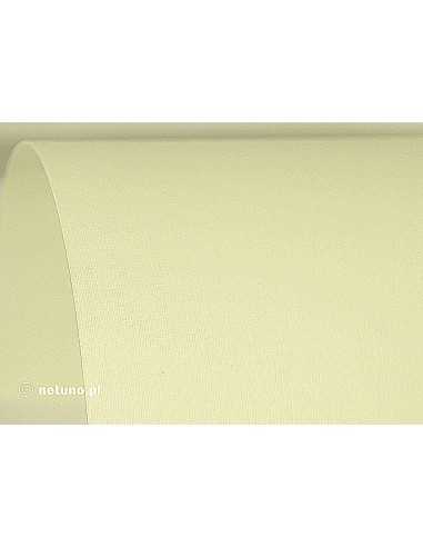 Aster Paper 250g Linen Ecru Pack of 100 A4