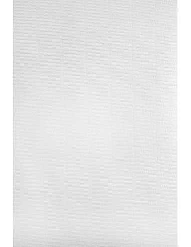 Aster Laid Paper 220g White Pack of 20A4