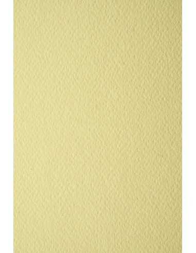 Prisma Paper 220g Camoscio Pack of 10 A4