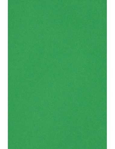 Burano Paper 250g B60 Verde Bandiera Pack of 20 A4