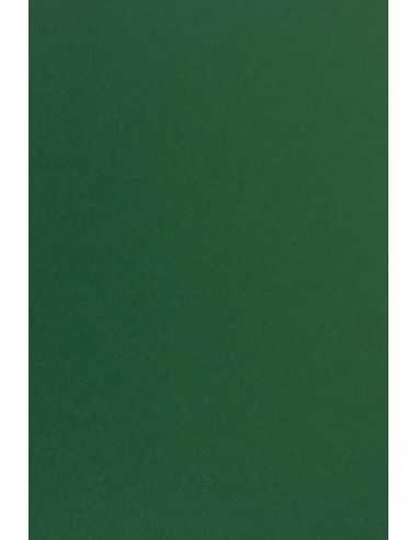 Sirio Color Smooth Paper 115g Foglia Pack of 50 A4