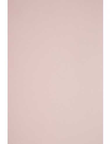Sirio Color Paper 115g Nude Pack of 50 A4