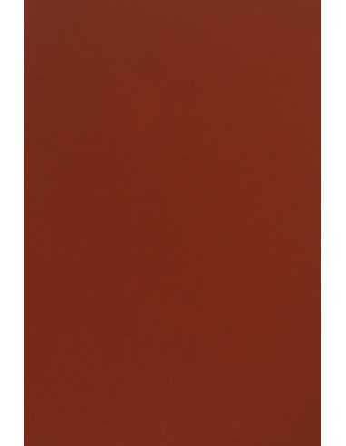 Sirio Color Paper 115g Cherry Pack of 50 A4