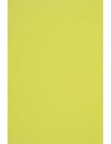 Woodstock Paper Pistacchio 140g Pack of 10 A4