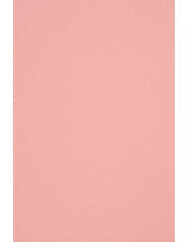 Woodstock Paper Rosa 140g Pack of 10 A4