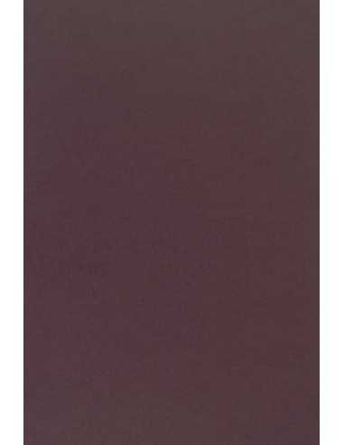 Sirio Color Paper 170g Vino Pack of 20 A4