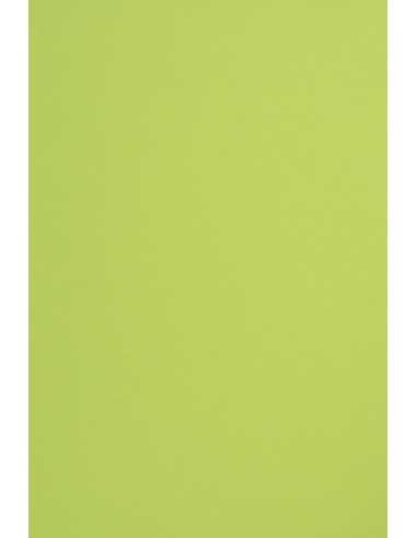 Sirio Color Paper 170g Lime Pack of 20 A4