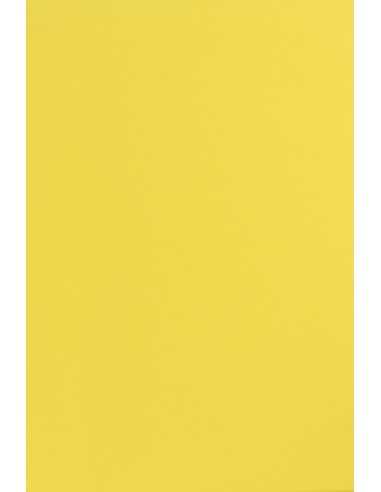 Sirio Color Paper 170g Limone Pack of 20 A4