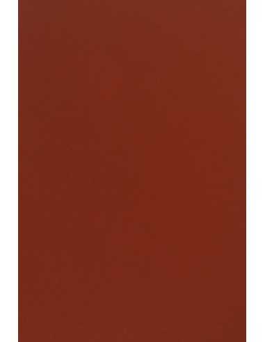 Sirio Color Paper 170g Cherry Pack of 20 A4