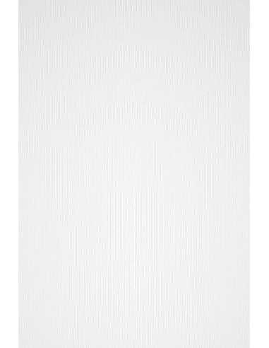 Acquerello Paper 200g Bianco White Pack of 10 A4