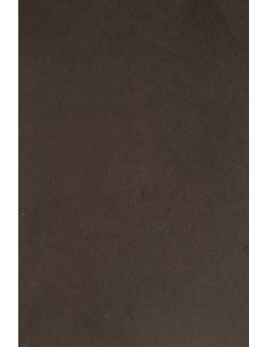 Sirio Color Paper 210g Cacao Pack of25 A4