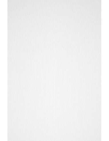 Acquerello Paper 240g Bianco White Pack of 10 A4