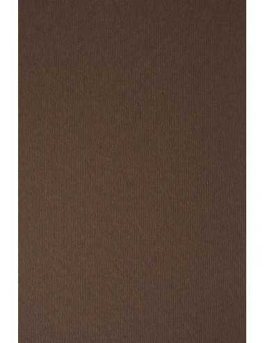 Nettuno Paper 280g Carruba Pack of 10 A4