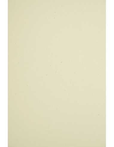 Woodstock Paper 285g Natural Pack of 10 A4