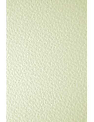 Ivory Board Embossed Paper 246g Hammer Ecru Pack of 100 A4