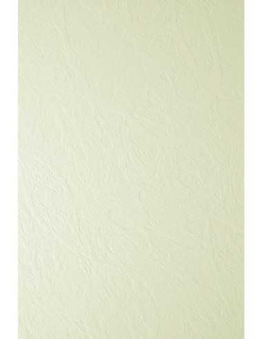 Ivory Board Paper 246g Leather Ecru Pack of 100 A4