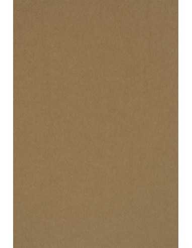Recycled Kraft Paper PLUS 340g Brown Pack of 100 A4
