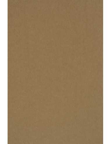 Recycled Kraft Paper PLUS 340g Brown Pack of 20 A4