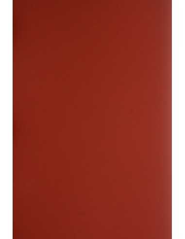 Plike Decorative Smooth Colourful Paper 330g Brown pack of 10A5