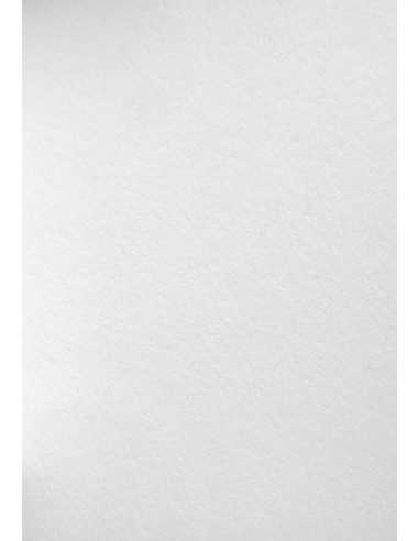 Wild Decorative Thick Paper 450g White white pack of 10A5