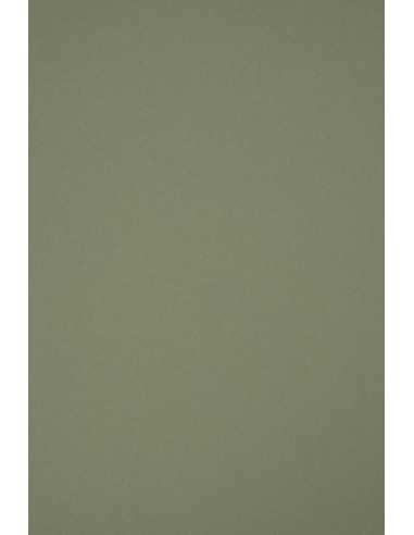 Materica Decorative Smooth Colourful Paper 360g Verdigris olive pack of 10A5