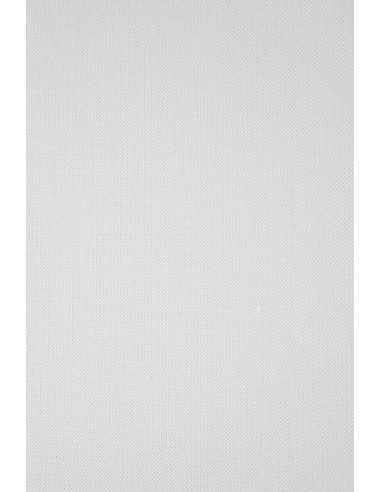 Ivory Board Paper 246g Ryps White Pack of 200 A5