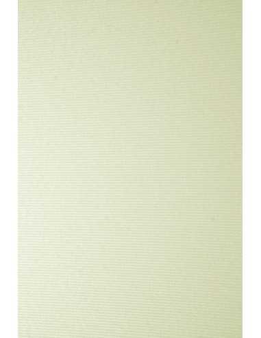 Ivory Board Embossed Paper 246g Ribbed Ecru Pack of 10 A3
