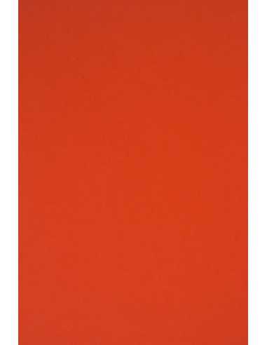 Rainbow Paper 230g R28 Red 70x100