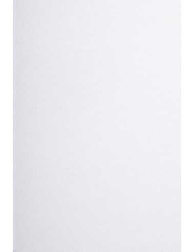 Arena Decorative Smooth Paper 250g Smooth Extra White 72x102 R125