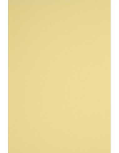 Rainbow Paper 160g R12 Light Yellow 92x65