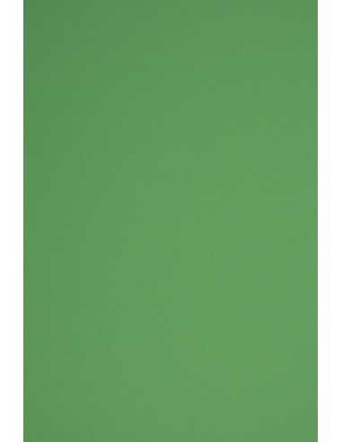 Rainbow Paper 160g R78 Dark Green 92x65