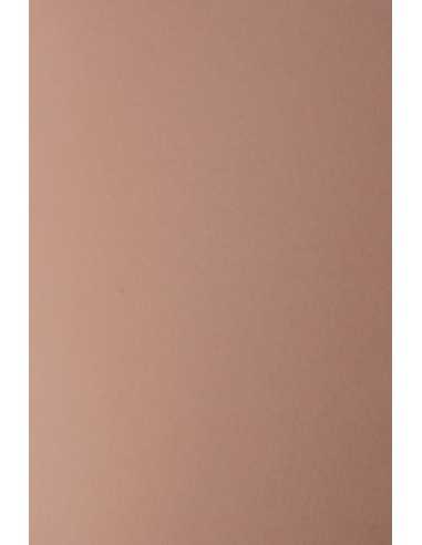 Keaykolour Decorative Ecological Smooth Colourful Paper 300g Rosebud dirty pink 70x100 R100