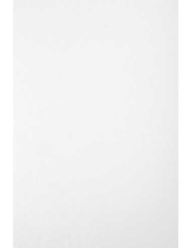 Aster Laguna Marbled Paper 180g White 70x100 R125